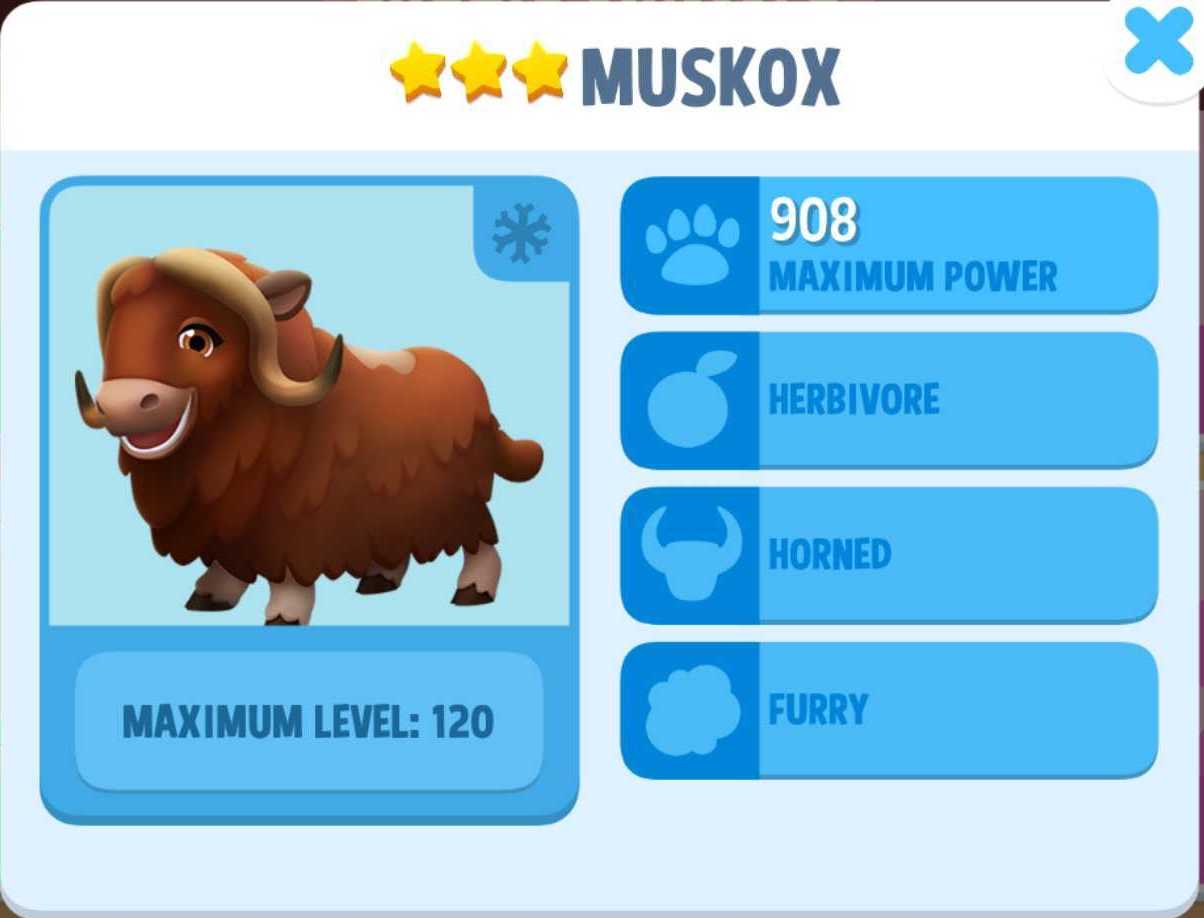 Muskox Info
