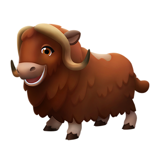 Muskox