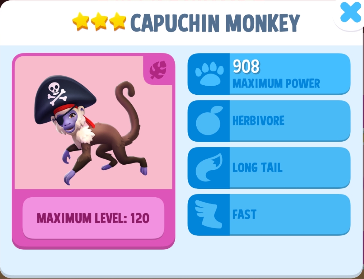 Capuchin Monkey Info