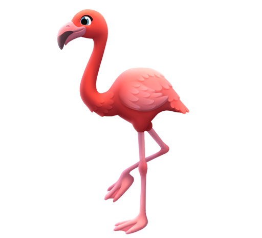 Flamingo