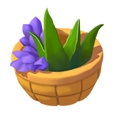 Museum Herbal Apothecary Basket of Herbs