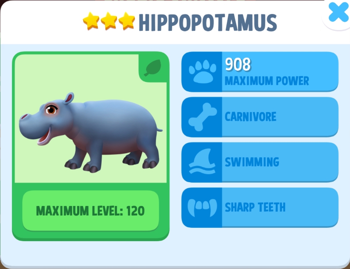 Hippopotamus Info
