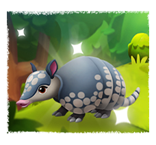 Armadillo