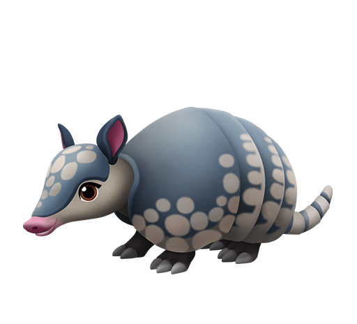 Armadillo