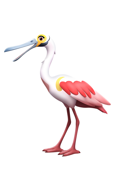 Roseate Spoonbill