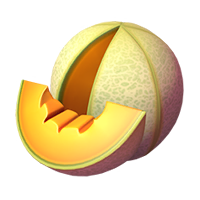 Muskmelon