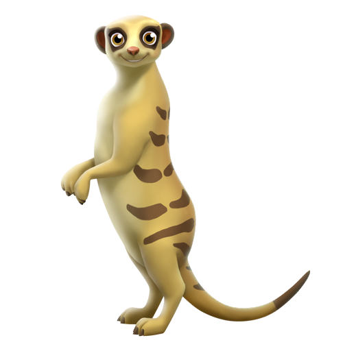 Meerkat