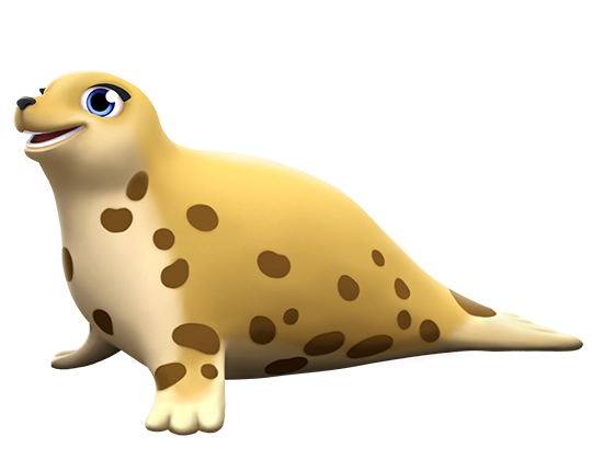 Spotted Seal