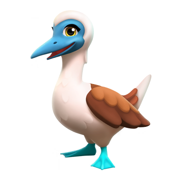 Blue Footed Booby
