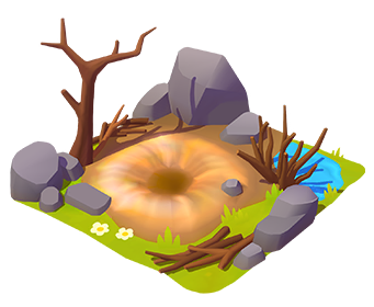 Exotic Blue Footed Booby Home