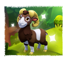Mouflon