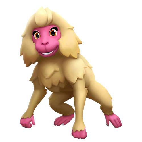 Japanese Macaque