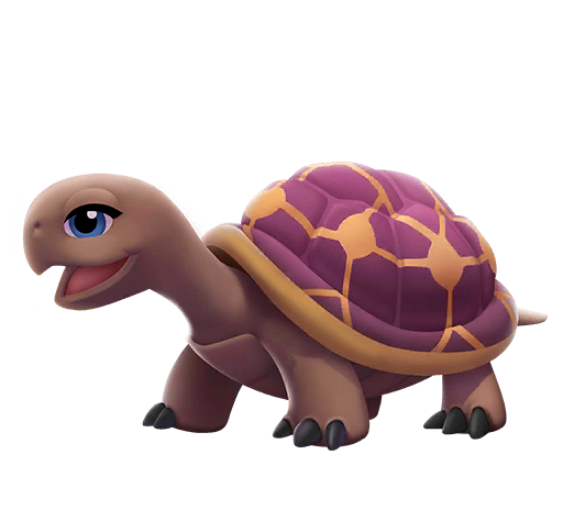 Indian Star Tortoise