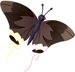 BlackHairstreak Butterfly