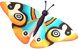 Blue Buckeye Butterfly