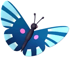 Blue Metalmark Butterfly