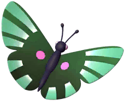 Green Metalmark Butterfly