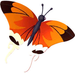 Orange Hairstreak Butterfly