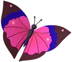 Pink Leafwing Butterfly