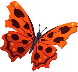 Red Comma Butterfly