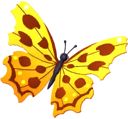 Yellow Comma Butterfly