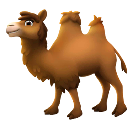 Bactrian Camel