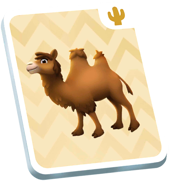 Bactrian Camel Card