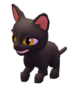 Bombay Black Cat