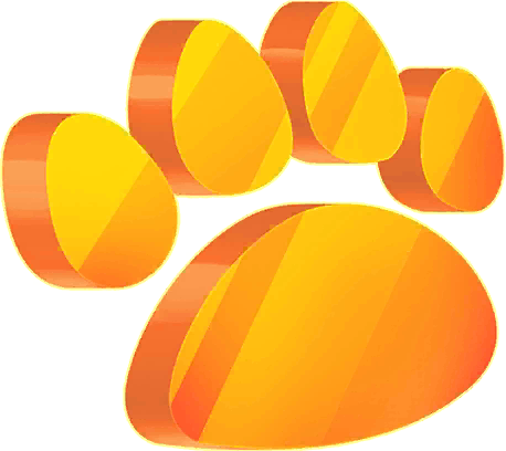 Rare Exotic Animal Card!