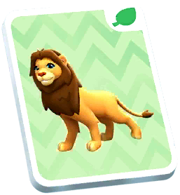 African Lion Card
