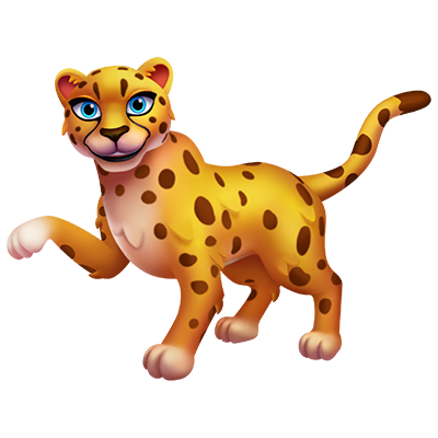 Cheetah