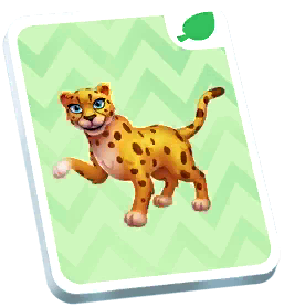 Cheetah Card