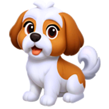 Shihtzu Dog