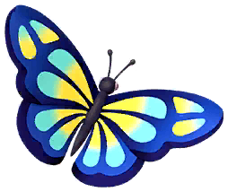 Blue Forester Butterfly