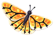 Yellow Checkerspot Butterfly