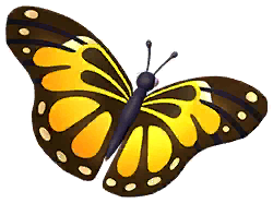 Yellow Diadem Butterfly