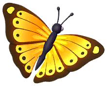 Yellow Glider Butterfly