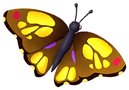 Yellow Pansy Butterfly