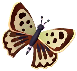 Brown Copper Butterfly