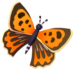 Common Copper Butterfly