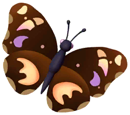 Dark Eggfly Butterfly