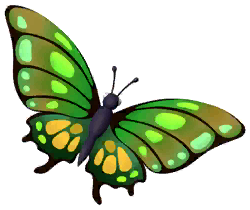 Green Imperial Butterfly