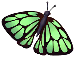 Green Oakblue Butterfly