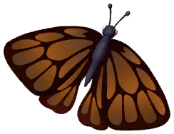 Indian Oakblue Butterfly