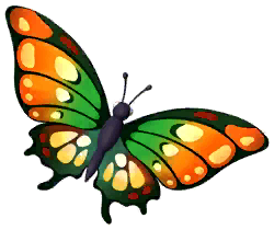 Orange Imperial Butterfly