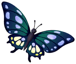 Purple Imperial Butterfly