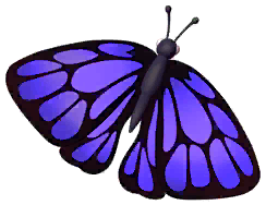 Purple Oakblue Butterfly