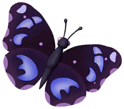 Varied Eggfly Butterfly