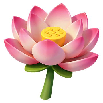 Lotus Plant