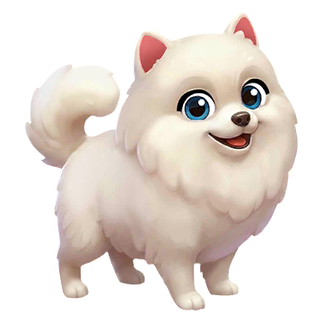 Pomeranian Dog